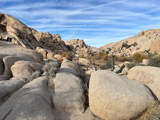 Mojave Guides - Joshua Tree Rock Climbing Guides image