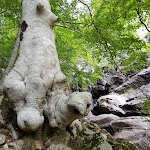 Photo n° 26 de l'avis de Nicolas.o fait le 12/09/2017 à 07:53 pour Parc naturel régional du Haut-Languedoc à Saint-Pons-de-Thomières