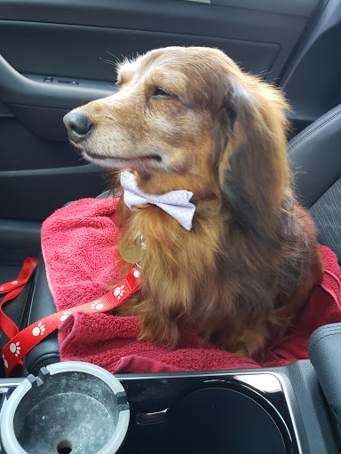 Tails and Tangles Pet Grooming LLC.