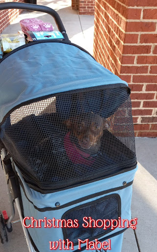 Pet Supply Store «PetSmart», reviews and photos, 3211 Peoples St, Johnson City, TN 37604, USA