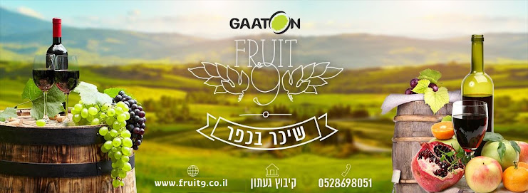 תמונה