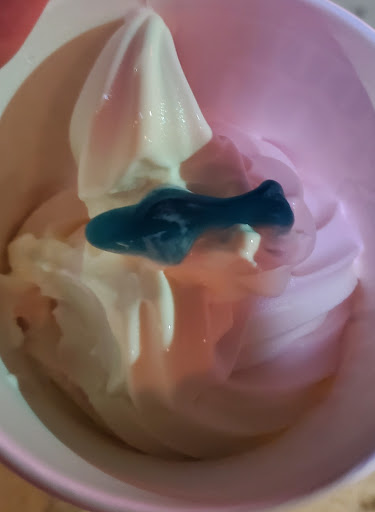 Frozen Yogurt Shop «The Pump House Frozen Yogurt Bar - Grand Rapids», reviews and photos, 2090 Celebration Dr NE #120, Grand Rapids, MI 49525, USA