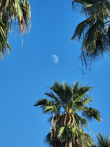 Park «Encanto Park», reviews and photos, 2605 N 15th Ave, Phoenix, AZ 85007, USA