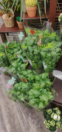 Vons image