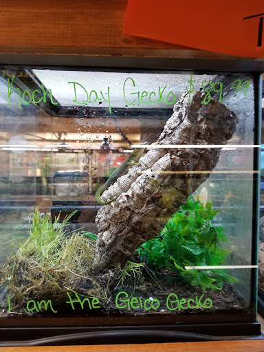 Pet Store «Just Pets», reviews and photos, 393 NY-5, Irving, NY 14081, USA