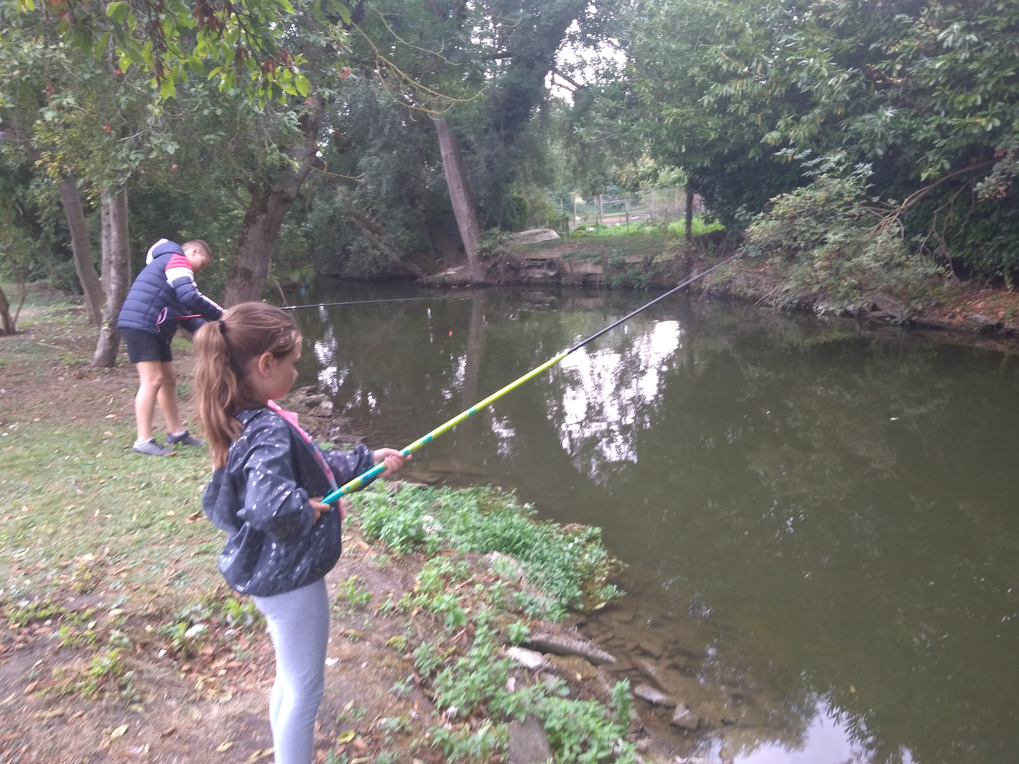 Photo n° 1 de l'avis de Virginie.5 fait le 08/09/2019 à 18:23