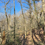Photo n° 6 de l'avis de Alban.A fait le 16/02/2024 à 22:54 pour Abbaye des Vaux de Cernay à Cernay-la-ville