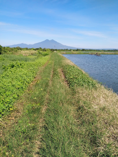 Camaronera Las Animas