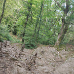 Photo n° 2 de l'avis de M-Manu.l fait le 30/08/2023 à 21:15 pour Siège de Merlin à Paimpont