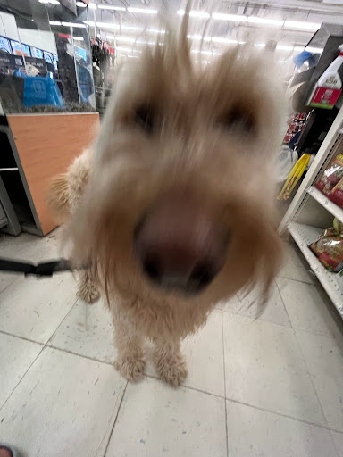 Pet Supply Store «Petco Animal Supplies», reviews and photos, 710 W 66th St, Richfield, MN 55423, USA