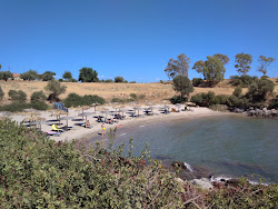 Glossa beach'in fotoğrafı çok temiz temizlik seviyesi ile