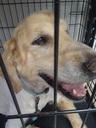 Pet Supply Store «Pets For You», reviews and photos, 413 N Main St, Rice Lake, WI 54868, USA