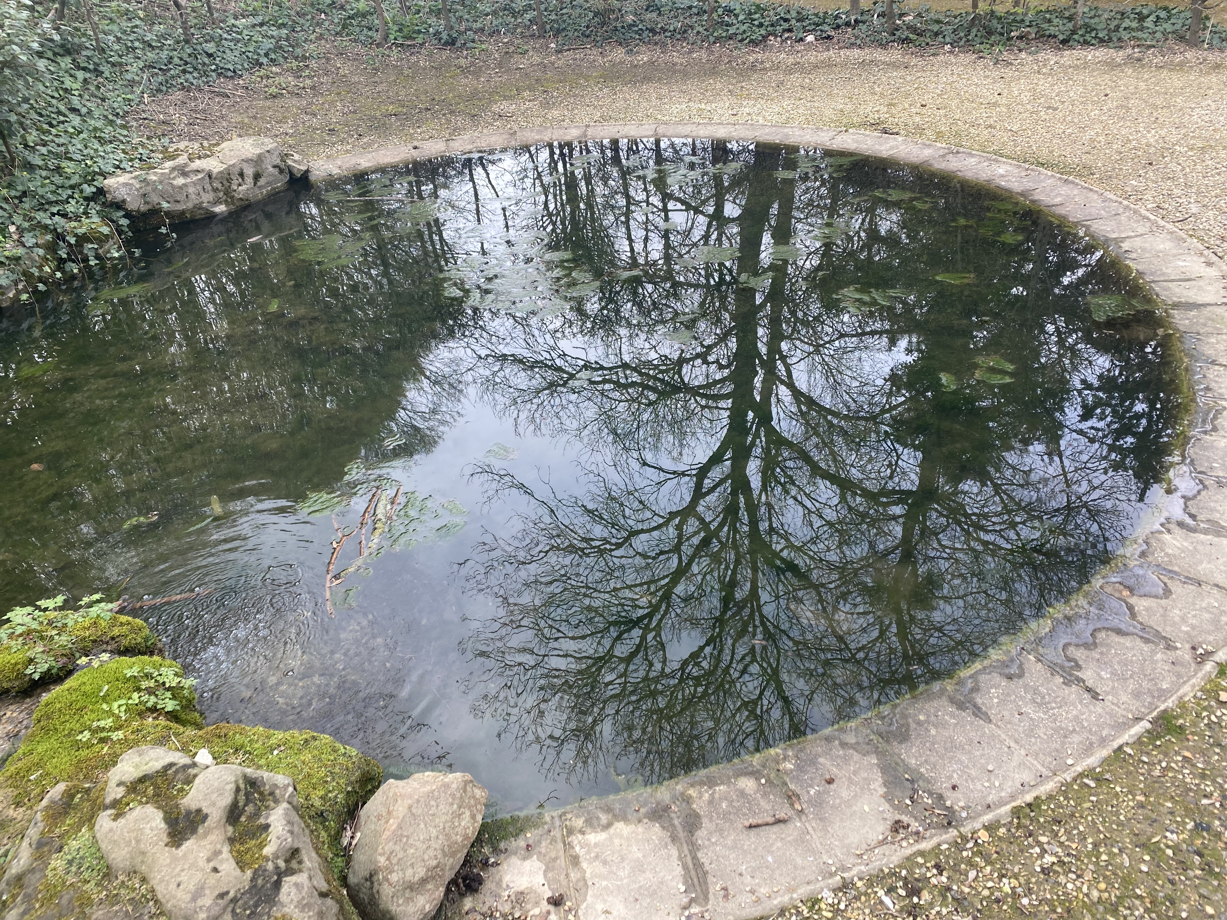 Photo n° 6 de l'avis de Lidia.r fait le 24/03/2023 à 23:51