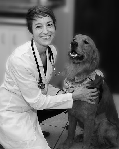 Gentle Care Animal Hospital at Ten Ten image