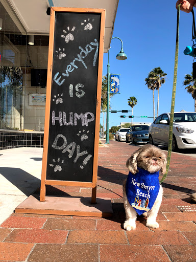 Pet Supply Store «Silly Willies», reviews and photos, 218 Flagler Ave, New Smyrna Beach, FL 32169, USA