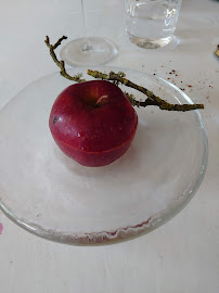 Pomme du Restaurant gastronomique Le Coquillage à Saint-Méloir-des-Ondes - n°7