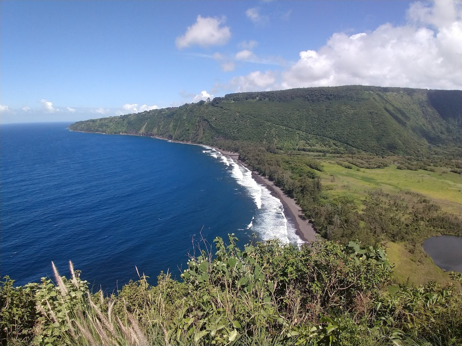 Waipi'o Black Sand Beach'in fotoğrafı çok temiz temizlik seviyesi ile