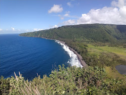 Waipi'o Black Sand Beach'in fotoğrafı çok temiz temizlik seviyesi ile