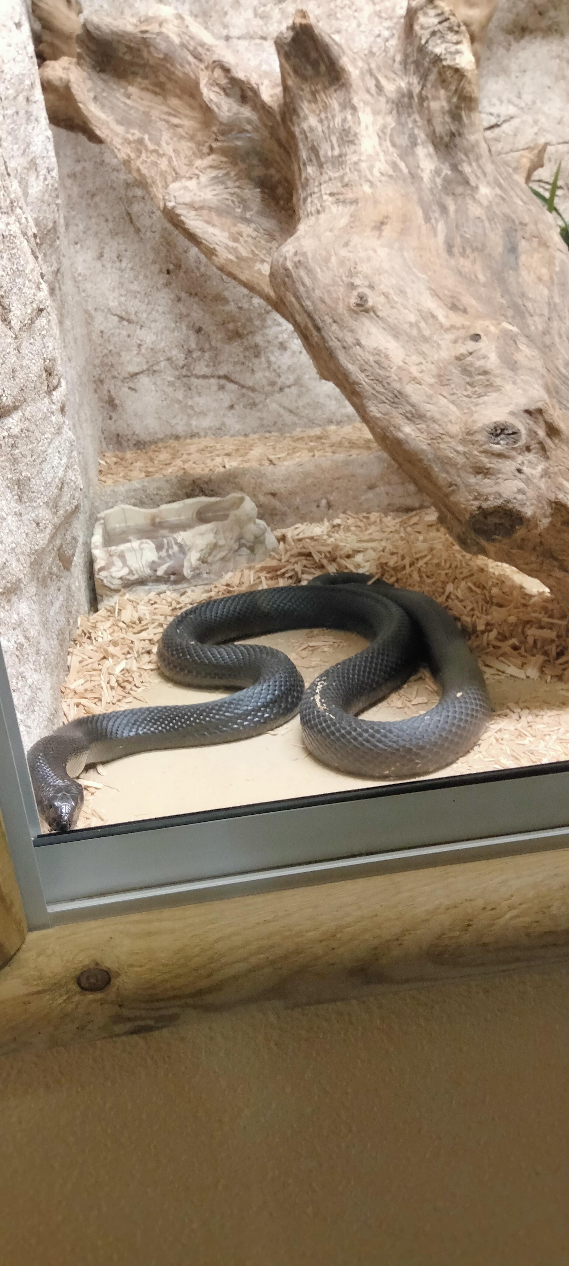 Photo n° 6 de l'avis de Dany.u fait le 19/03/2023 à 19:21