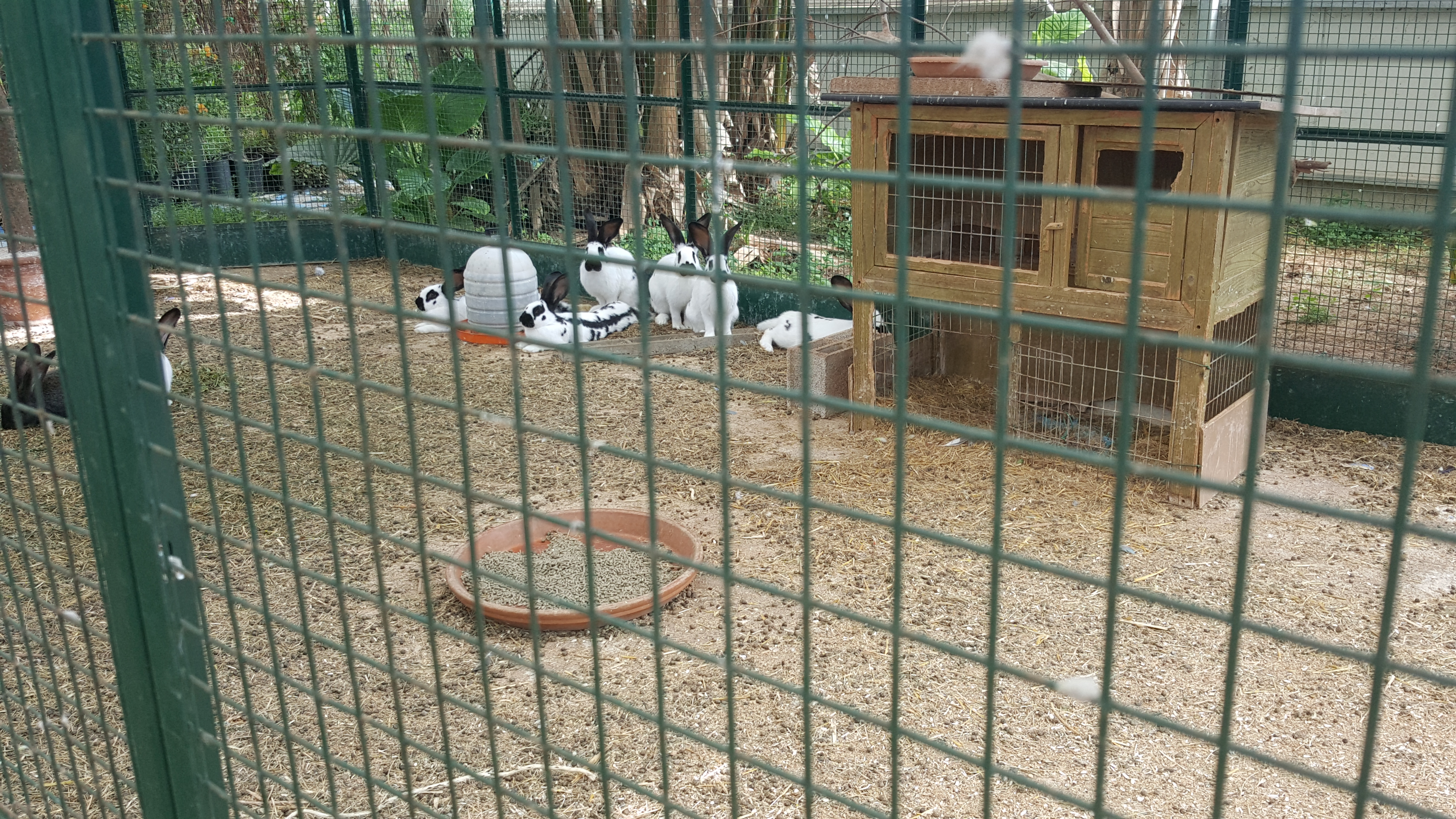 Photo n° 2 de l'avis de Elena.l fait le 04/06/2017 à 20:41