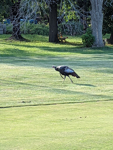 Golf Course «New Berlin Hills Golf Course», reviews and photos, 13175 W Graham St, New Berlin, WI 53151, USA