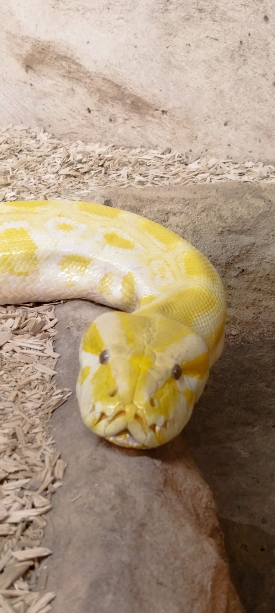 Photo n° 1 de l'avis de Jenny.a fait le 29/04/2018 à 06:22