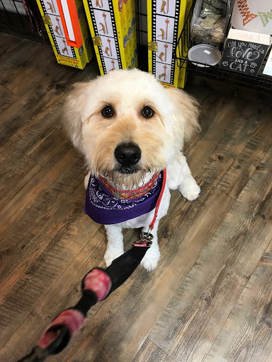 Pet Store «Earthwise Pet - Southlake», reviews and photos, 100 W Southlake Blvd #150, Southlake, TX 76092, USA