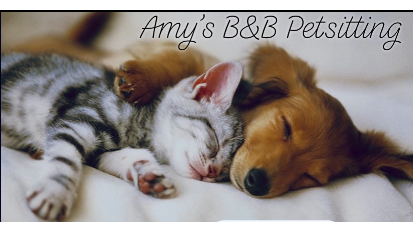 Amy’s B&B - Barks & Buddies Petsitting