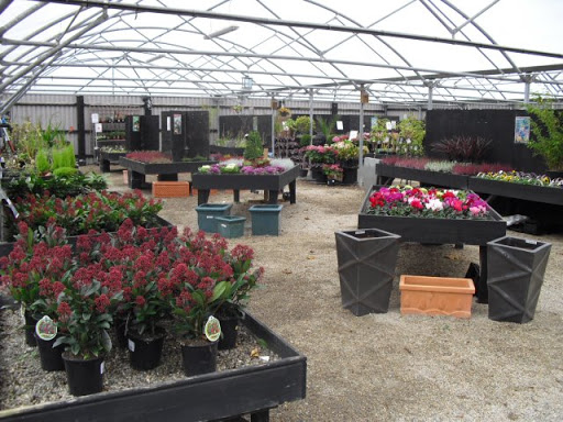 Curraghchase Garden Centre and Café