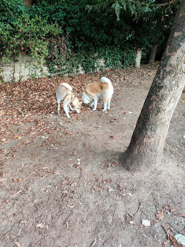 Parc canin à Fontenay-aux-Roses