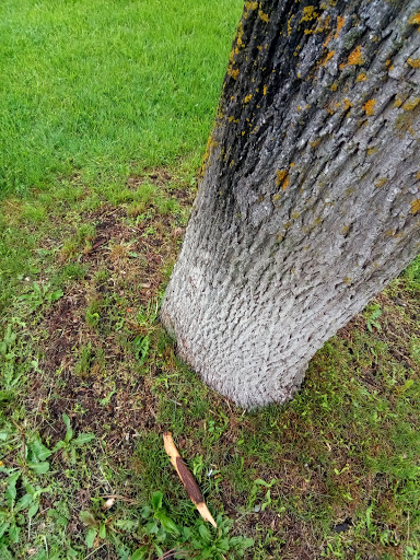 Recreation Center «Meri Lou Murray Recreation Center», reviews and photos, 2960 Washtenaw Ave, Ann Arbor, MI 48104, USA