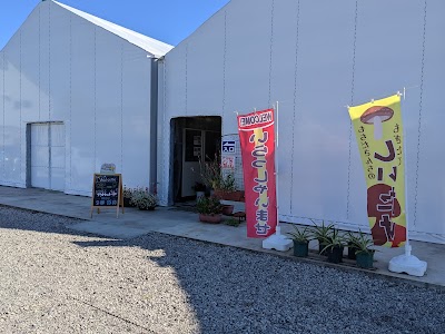 持田さんちの椎茸