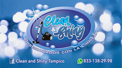Clean Tampico Limpieza de Muebles