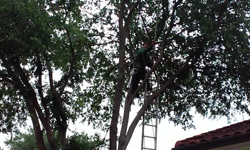 Country Club «Dominion Country Club», reviews and photos, 1 Dominion Dr, San Antonio, TX 78257, USA