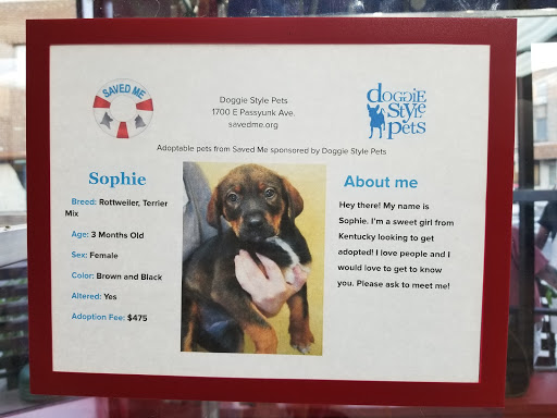 Pet Supply Store «Dogge Style Pets Passyunk», reviews and photos, 1700 E Passyunk Ave, Philadelphia, PA 19148, USA