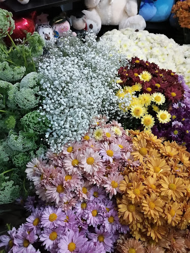 Comentarii opinii despre floreria los claveles tarapoto