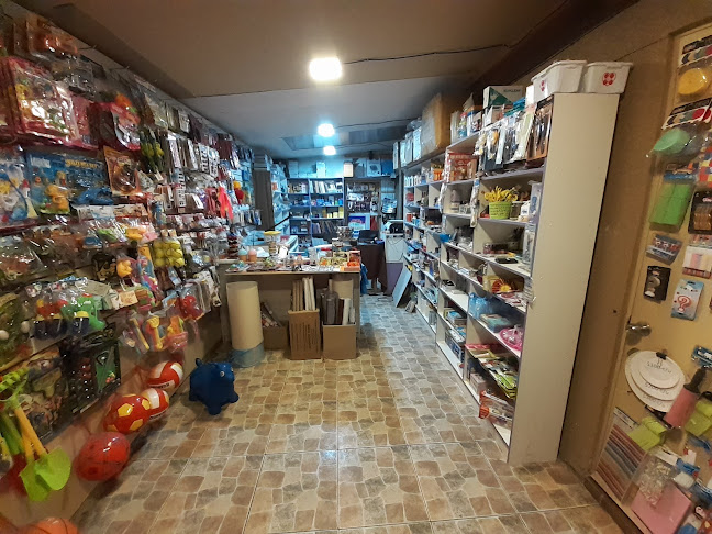 Bazar Y Libreria Mi Sueño - Molina