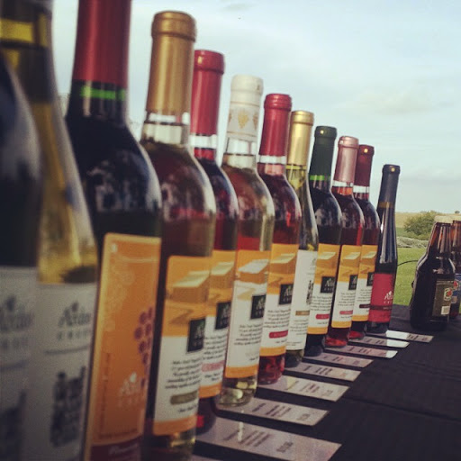 Vineyard «Ardon Creek Vineyard and Winery», reviews and photos, 2391 Independence Ave, Letts, IA 52754, USA