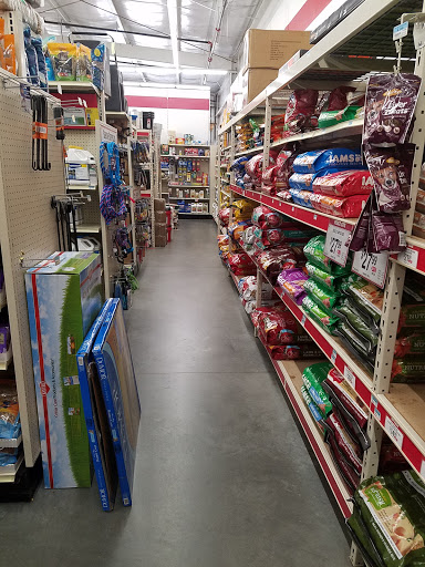 Home Improvement Store «Tractor Supply Co.», reviews and photos, 5618 US-90, Theodore, AL 36582, USA