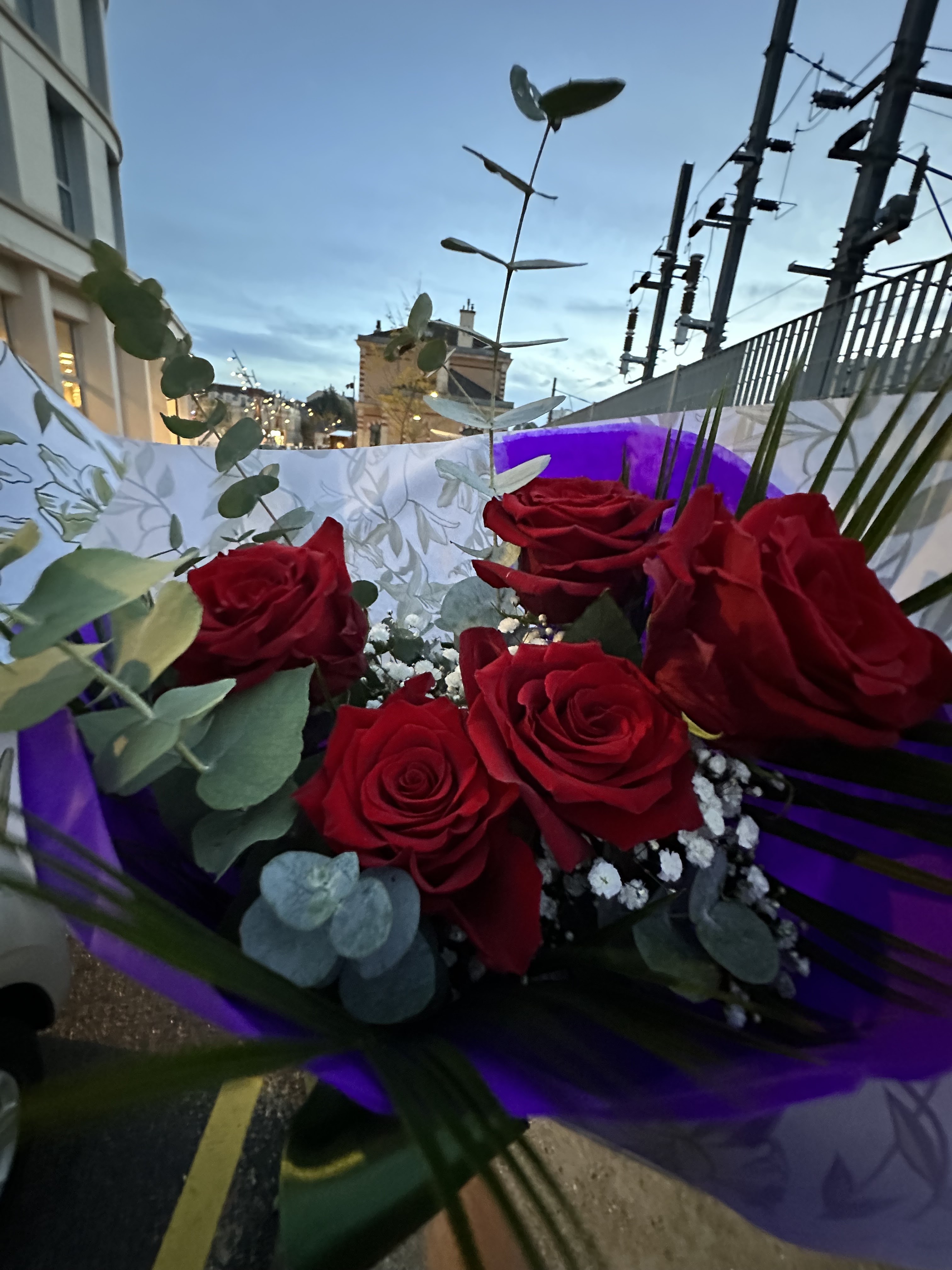 Photo n° 1 de l'avis de Jérémy.T fait le 12/11/2023 à 13:22
