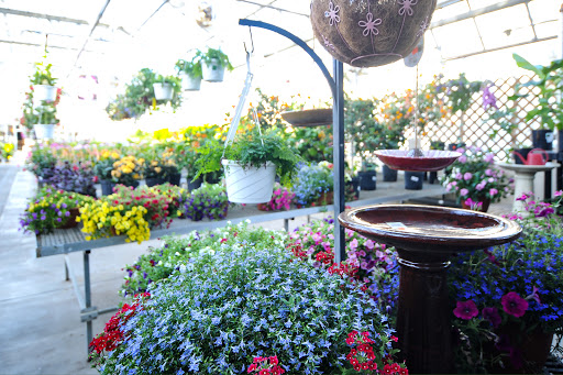 Florist «Dundalk Florist», reviews and photos, 7233 German Hill Rd, Dundalk, MD 21222, USA