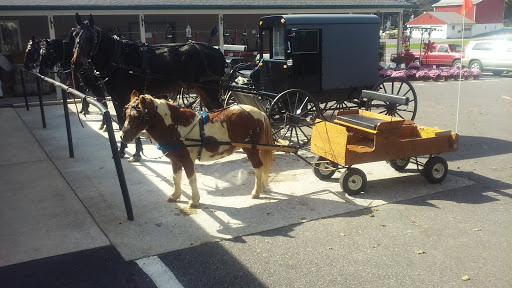 Grocery Store «Hillside Bulk Foods», reviews and photos, 1403 W Kings Hwy, Gap, PA 17527, USA