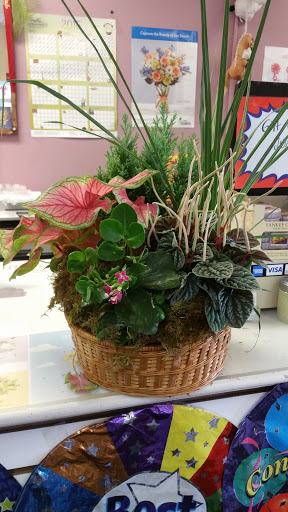Florist «Accents of Eden Florist», reviews and photos, 2225 E Highland Rd, Highland Charter Twp, MI 48356, USA