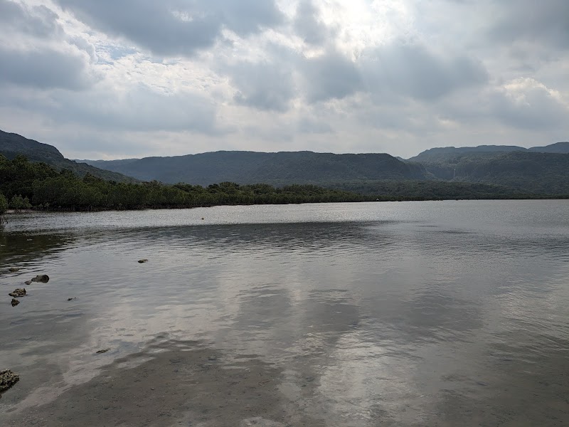 船浦湾干潟