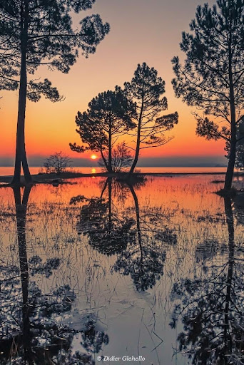 Photo 2 - Auto piéces du Marensin