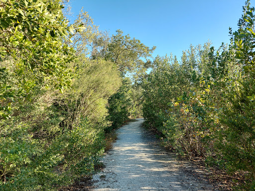 Nature Preserve «Perico Preserve», reviews and photos, 11700 Manatee Ave W, Bradenton, FL 34209, USA