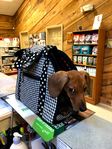 All Creatures Pet Hospital