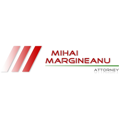 Mihai Margineanu Law Office - <nil>