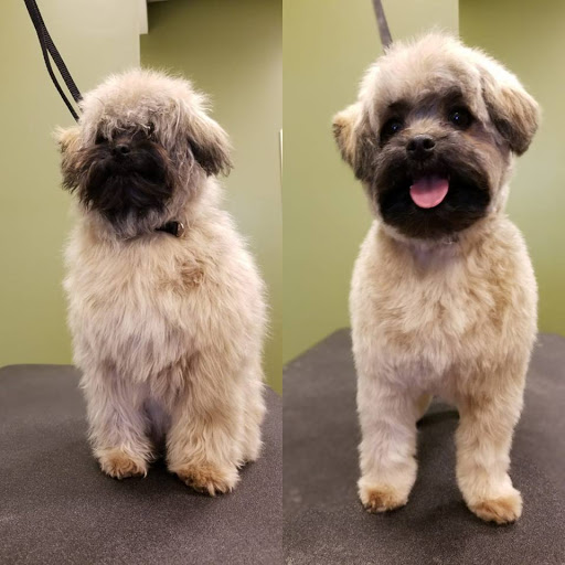 Pet Supply Store «EarthWise Pet Supply», reviews and photos, 4701 Bauer Farm Drive b, Lawrence, KS 66049, USA