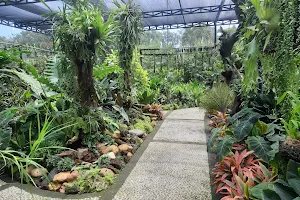 Duta Orchid Garden image